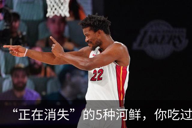 “正在消失”的5种河鲜，你吃过几种？最后1种味道极鲜却少有人吃