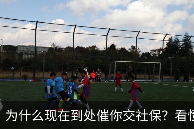 为什么现在到处催你交社保？看懂真相，才知道是普通人最大的底牌