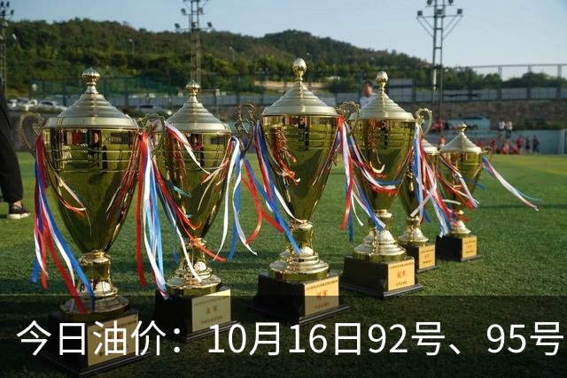 今日油价：10月16日92号、95号汽油与柴油最新售价信息