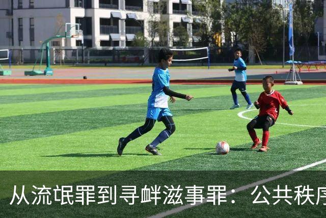从流氓罪到寻衅滋事罪：公共秩序法益的边界、扩张与社会代价