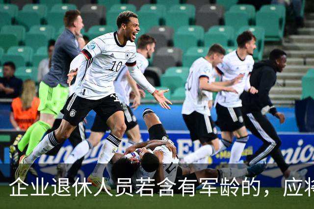 企业退休人员若含有军龄的，应将军龄单列出来按公务员的系数来计