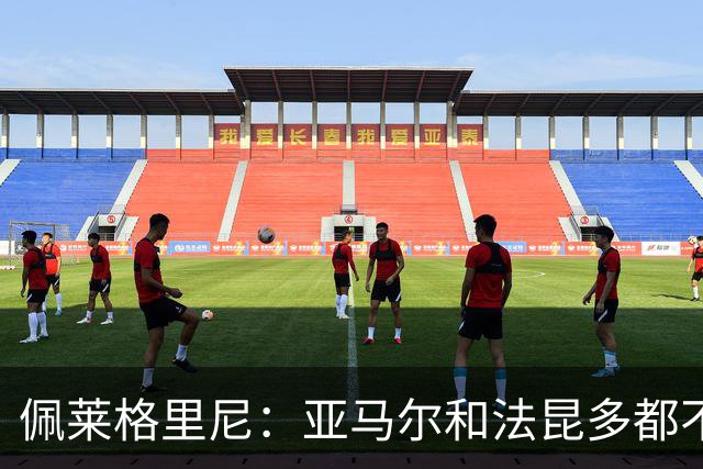 佩莱格里尼：亚马尔和法昆多都不该这么做，但没人应该被罚下