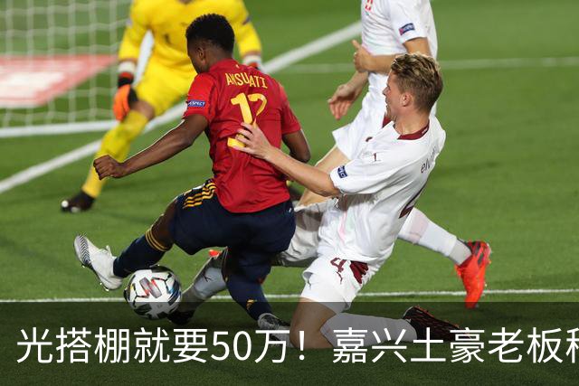光搭棚就要50万！嘉兴土豪老板稻田里办酒席，排面直接拉满