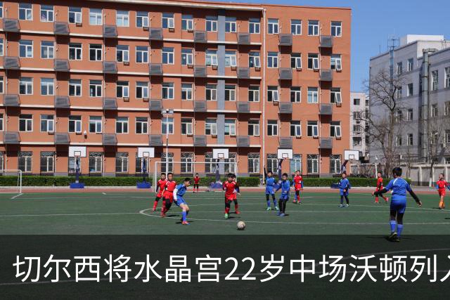 切尔西将水晶宫22岁中场沃顿列入1月目标名单