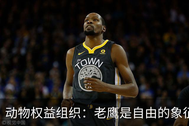 动物权益组织：老鹰是自由的象征，不是水晶宫取悦球迷的道具