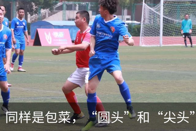 同样是包菜，“圆头”和“尖头”的区别很大，知道后别再乱买