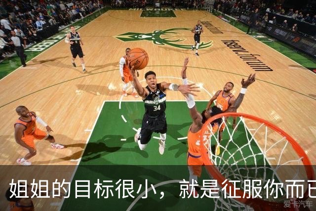 姐姐的目标很小，就是征服你而已