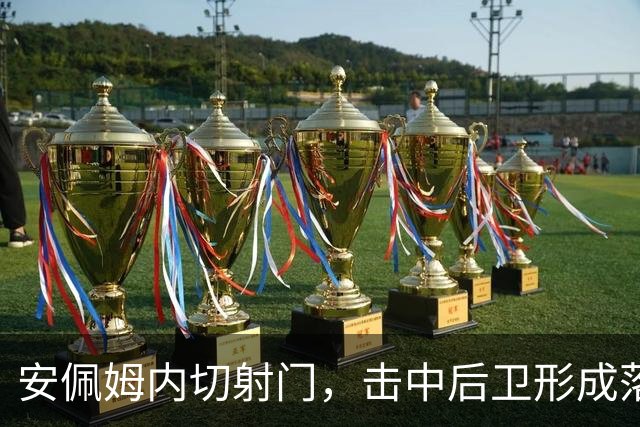 安佩姆内切射门，击中后卫形成落叶球破门，海港1-1河内