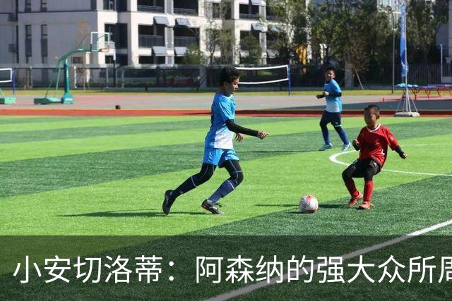 小安切洛蒂：阿森纳的强大众所周知，会给他们制造足够的麻烦