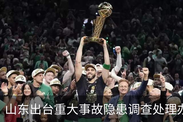 山东出台重大事故隐患调查处理办法