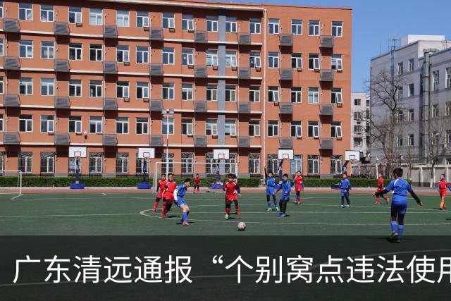 广东清远通报“个别窝点违法使用硫磺熏蒸麻竹笋”：情况属实