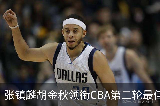 张镇麟胡金秋领衔CBA第二轮最佳阵容 付豪篮板称王