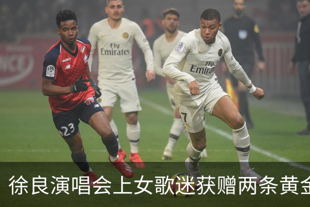 徐良演唱会上女歌迷获赠两条黄金小象项链，总重4.83克价值约6000元，当事人：第一次收到良哥的礼物，惊喜又幸运