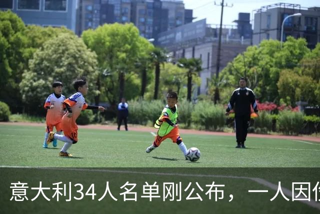 意大利34人名单刚公布，一人因伤退出，曼奇尼急召25岁中场