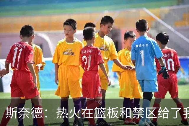 斯奈德：热火在篮板和禁区给了我们很大压力 球队得更快地转移球