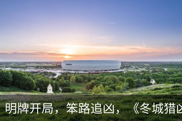 明牌开局，笨路追凶，《冬城猎凶》赌赢了一半