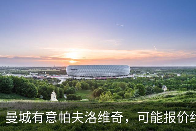曼城有意帕夫洛维奇，可能报价约1亿欧元，拜仁不愿出售
