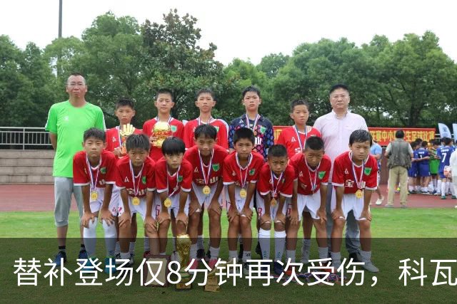 替补登场仅8分钟再次受伤，科瓦奇：卡雷察斯最近运气实在不太好