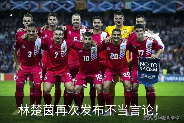 林楚茵再次发布不当言论！