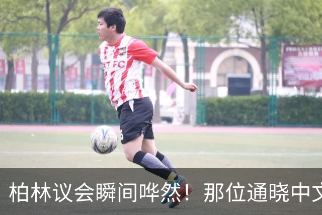 柏林议会瞬间哗然！那位通晓中文的女博士魏德尔当场抛出三个尖锐问题：若切断中德经贸往来，你们拿什么维持德国工人的生计？
