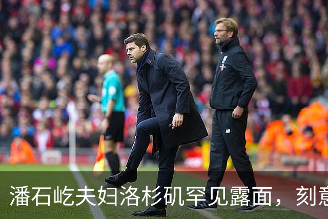 潘石屹夫妇洛杉矶罕见露面，刻意回避镜头，短暂活动后快速离开！