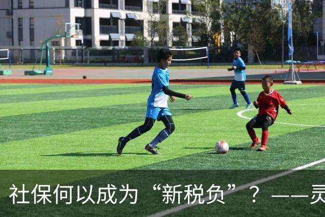 社保何以成为“新税负”？——灵活就业者与中小企业的制度性困境