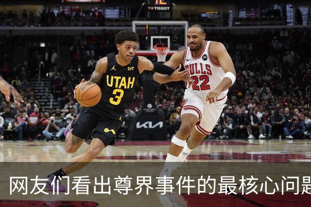 网友们看出尊界事件的最核心问题了
