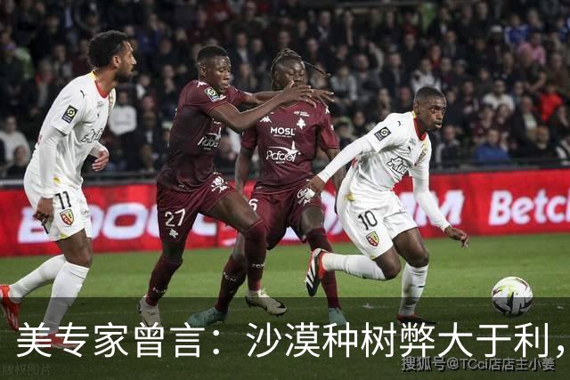 美专家曾言：沙漠种树弊大于利，中国不懂危害还自称环保大国
