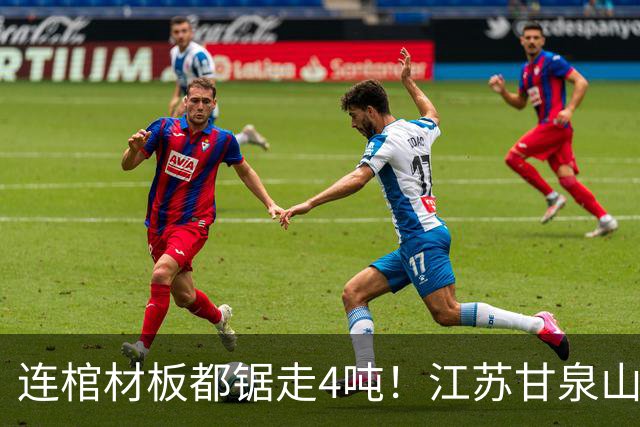 连棺材板都锯走4吨！江苏甘泉山惊天盗案，500件国宝如何追回？