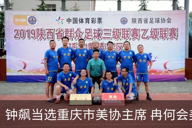 钟飙当选重庆市美协主席 冉何会美当选杂协主席