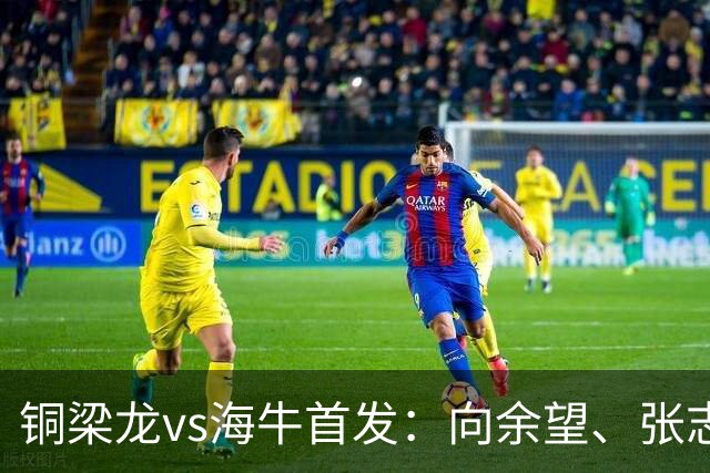 铜梁龙vs海牛首发：向余望、张志雄先发，叶博亚、埃朱玛出战