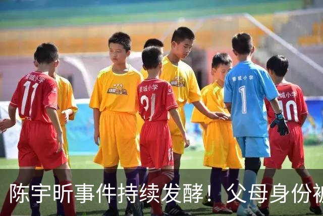 陈宇昕事件持续发酵！父母身份被曝光，难怪他是个精日分子